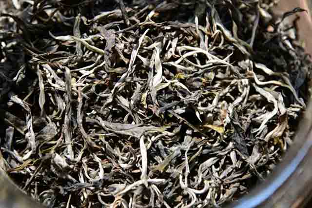 彩农茶2023头春布朗古茶普洱茶品质特点