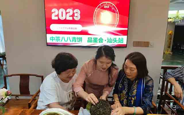中茶普洱茶2022中茶八八青饼易武版新品品鉴会汕头站