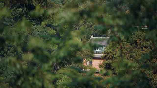 第十一届茶山行集结景迈山