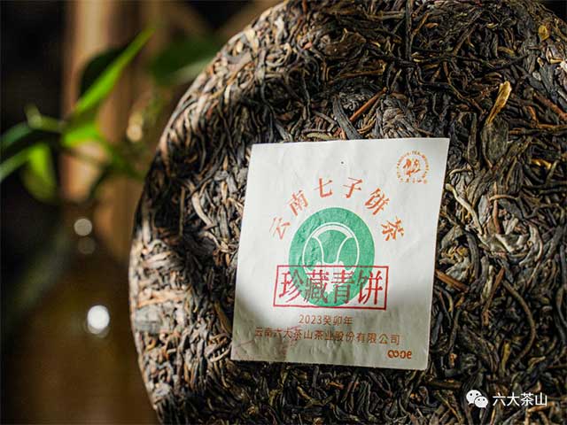 六大茶山珍藏精品大白菜普洱茶