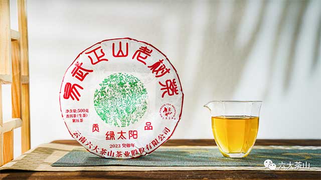 六大茶山2023年贡品绿太阳普洱茶品质特点