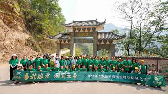 龙润茶易武刮风寨丁家寨茶山行