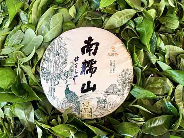 龙润茶2023茶山行南糯山古茶