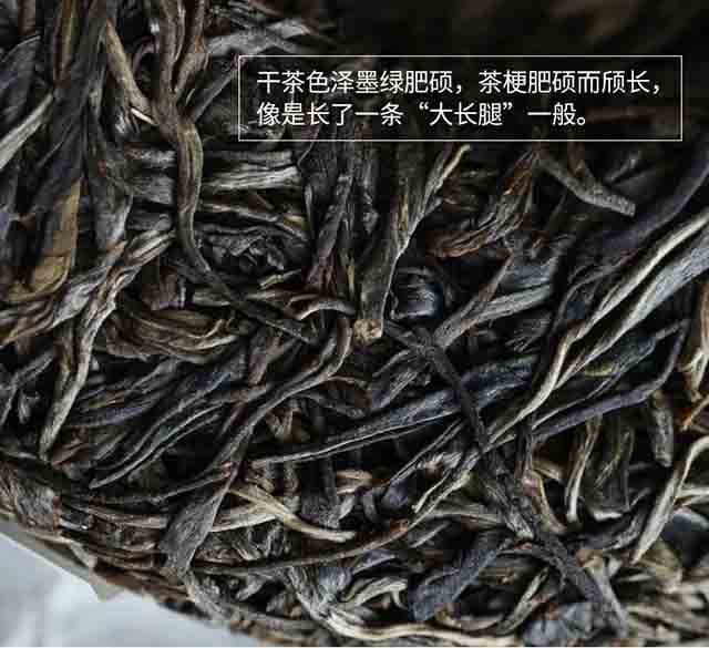 荣瑞祥2023年易武白茶园头春古树茶品质特点