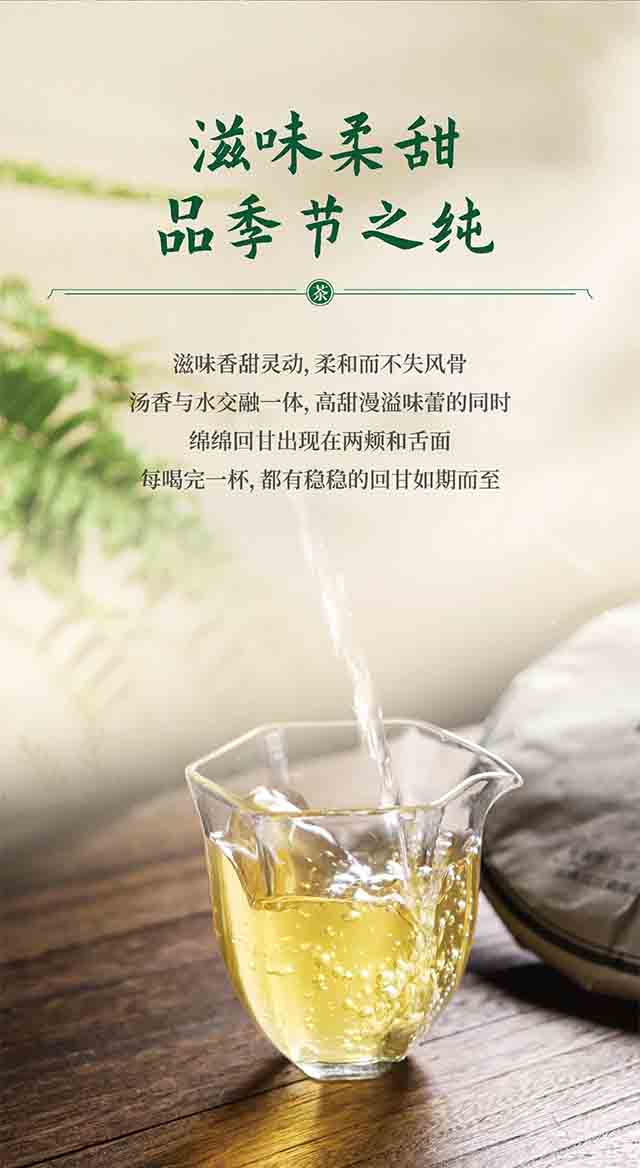 勐库戎氏第二十代勐库春尖普洱茶品质特点