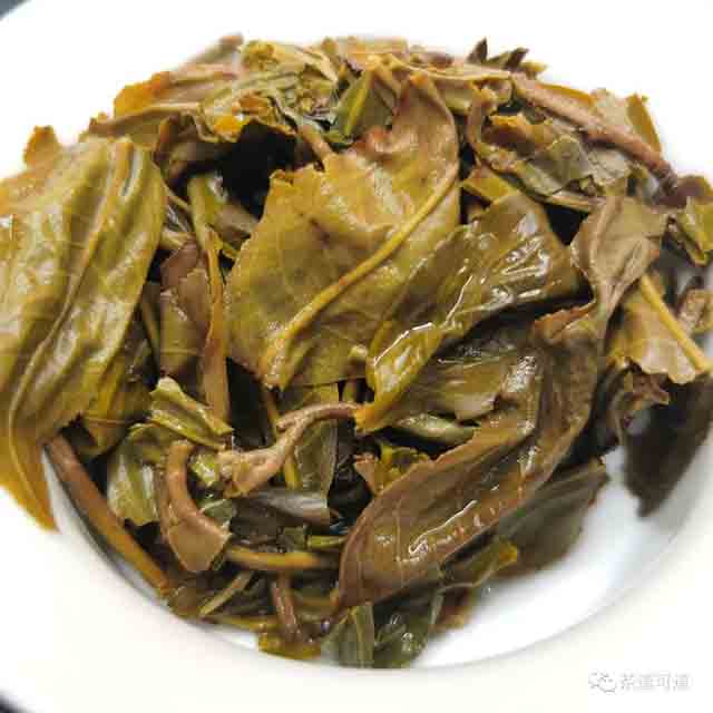 澜沧古茶2022年景迈古粗橡筋饼普洱茶品质特点