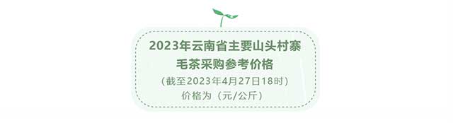 2023云南百个山头春茶价格发布