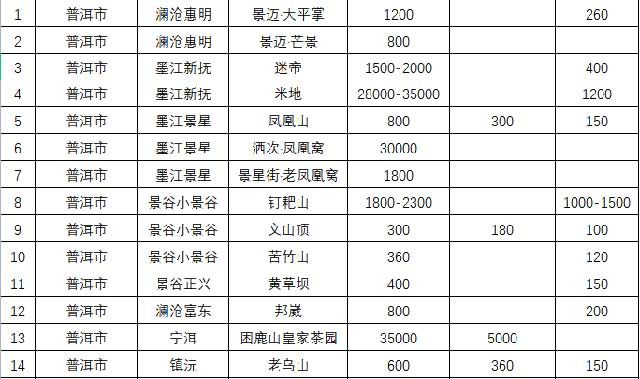 2023云南百个山头春茶价格发布1