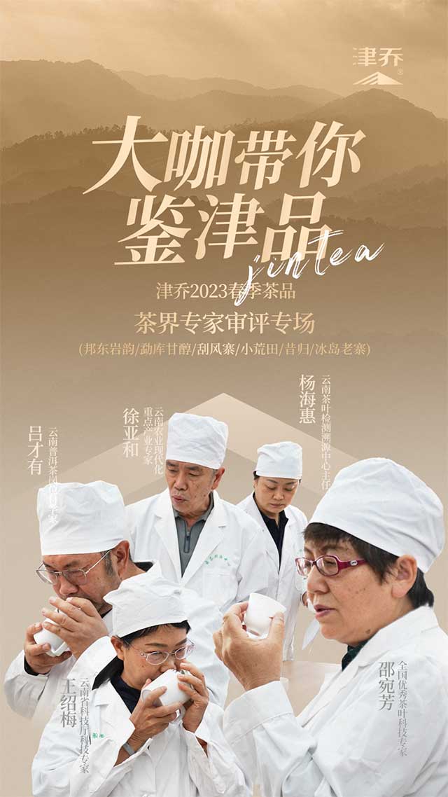 津乔普洱云南邦东岩茶