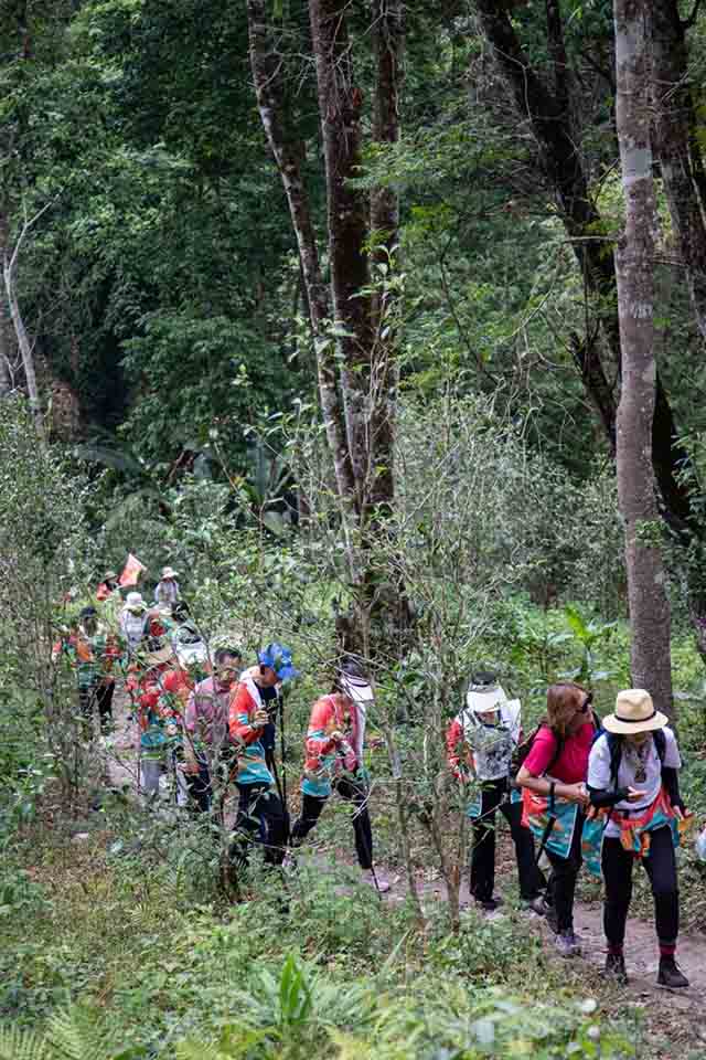 双陈普洱2023第二场悦普会茶山游学之旅