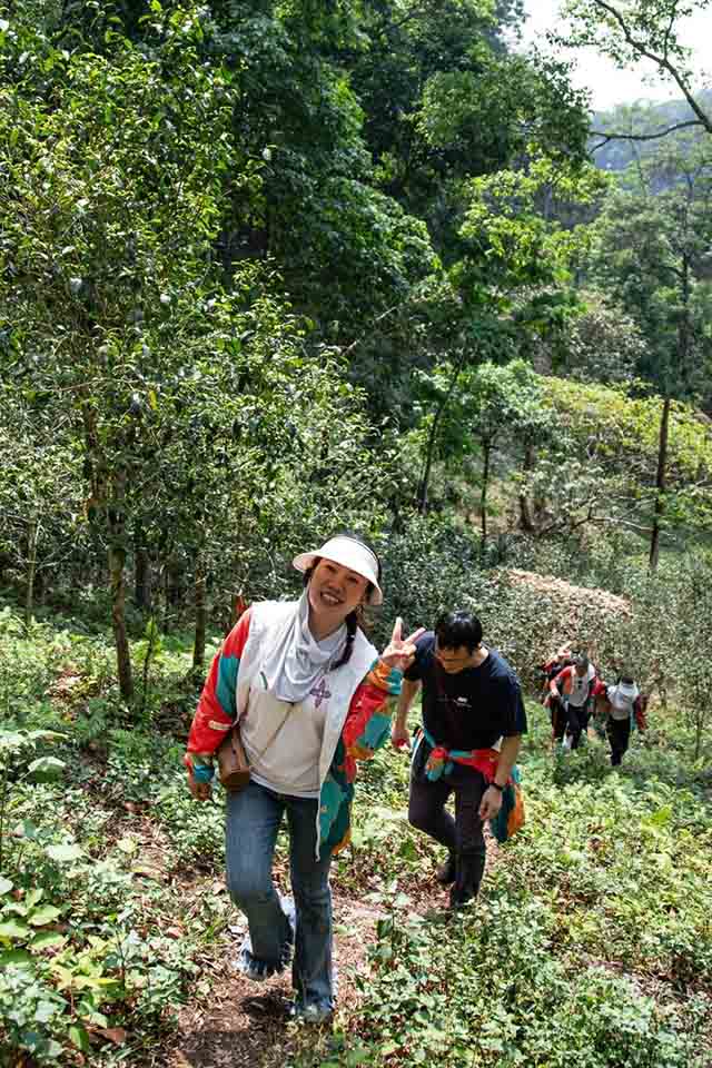 双陈普洱2023第二场悦普会茶山游学之旅