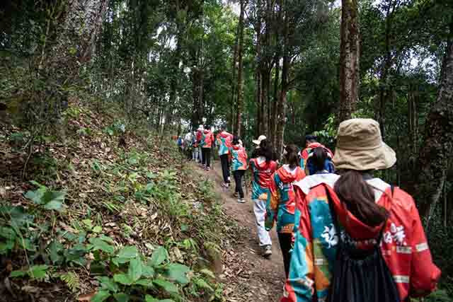 双陈普洱2023第二场悦普会茶山游学之旅