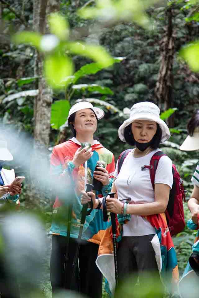 双陈普洱2023第二场悦普会茶山游学之旅