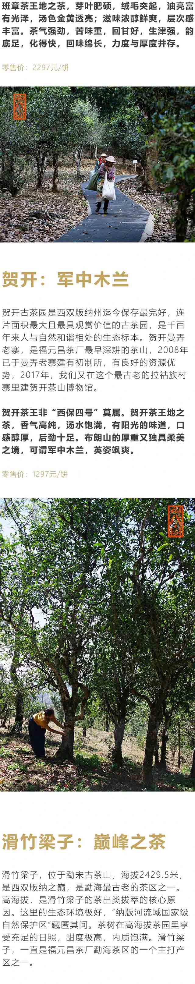 2023年福元昌古树茶王地系列357克普洱茶