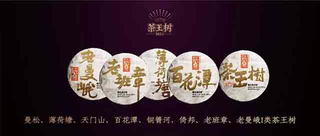 2023年福元昌古树茶王地系列200克普洱茶