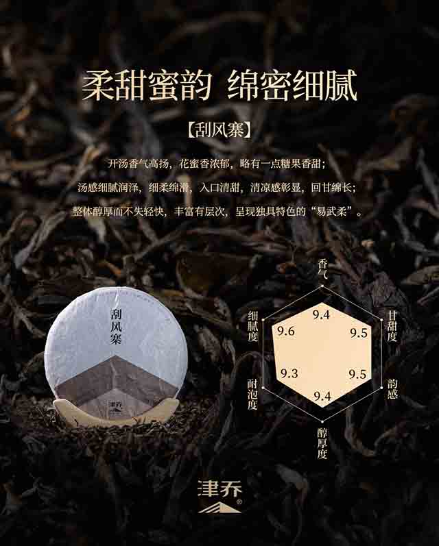 津乔普洱刮风寨普洱茶