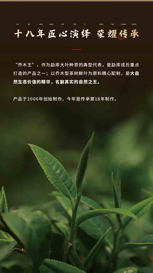 勐库戎氏2023乔木王普洱茶品质特点