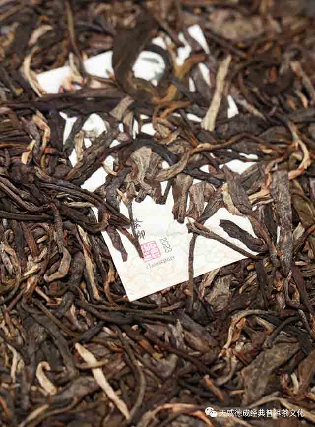 天威德成云集生茶普洱茶品质特点