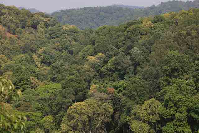 2023龙润茶润贡峰味诸山盛名产品