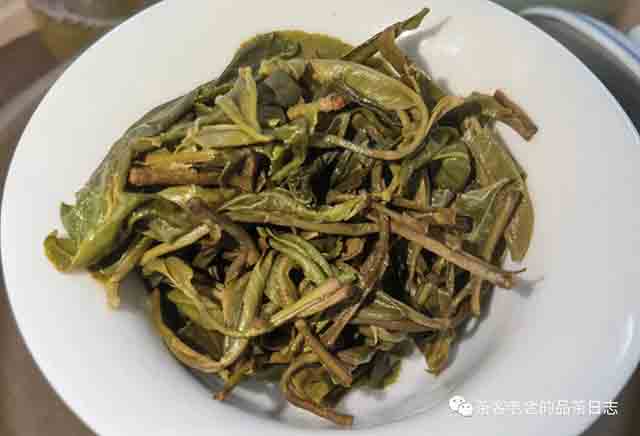 吾茶共饮2023年拼配三款普洱茶