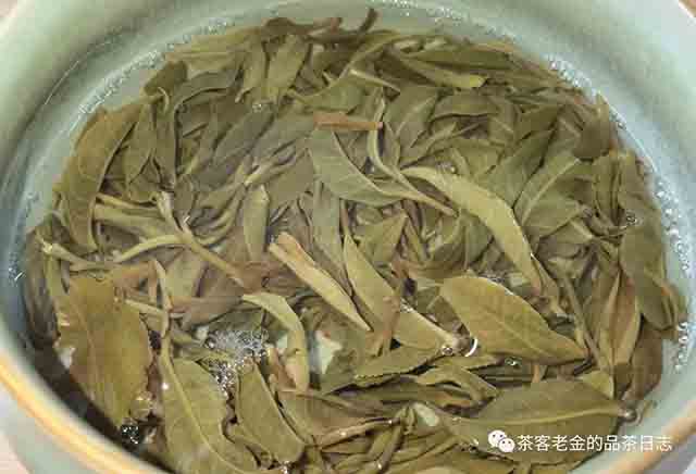 吾茶共饮2023年拼配三款普洱茶