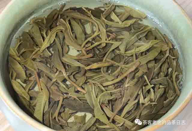 吾茶共饮2023年拼配三款普洱茶