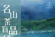 2023名山春茶盲品挑战全国品鉴会回顾