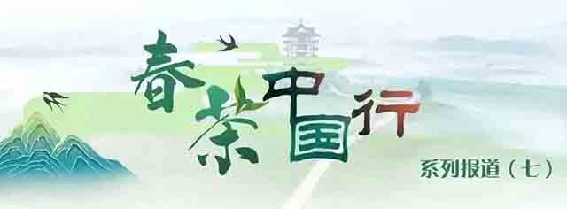 2023安徽潜山茶旅文化节暨第二届天柱剑毫斗茶赛