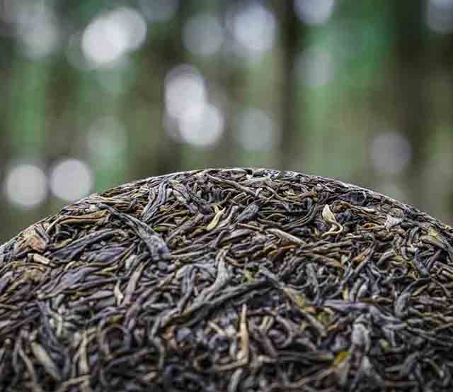 六大茶山二十四节气节令茶立夏普洱茶