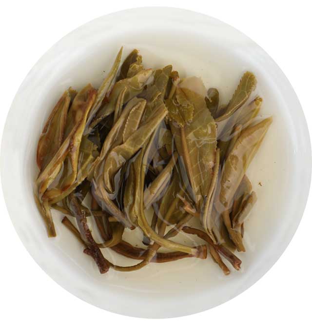 中茶凤凰窝古树普洱茶