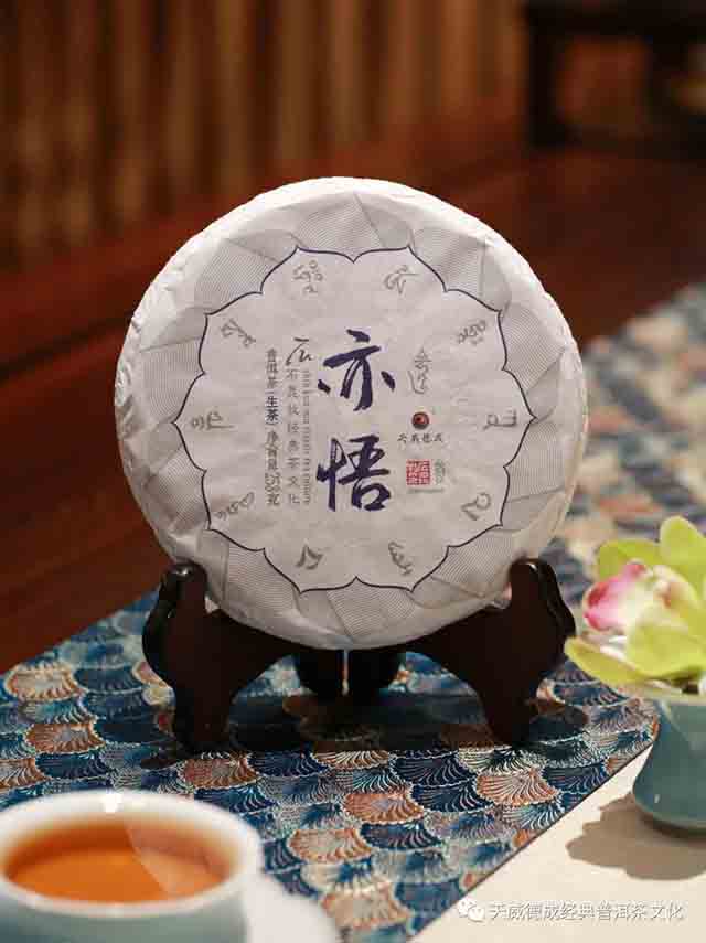 2023年经典普洱体系常规生茶新品通揽