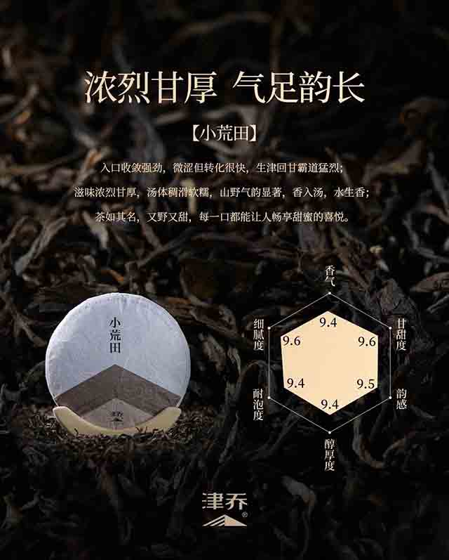 津乔普洱小荒田