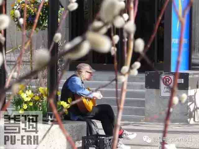 普洱杂志