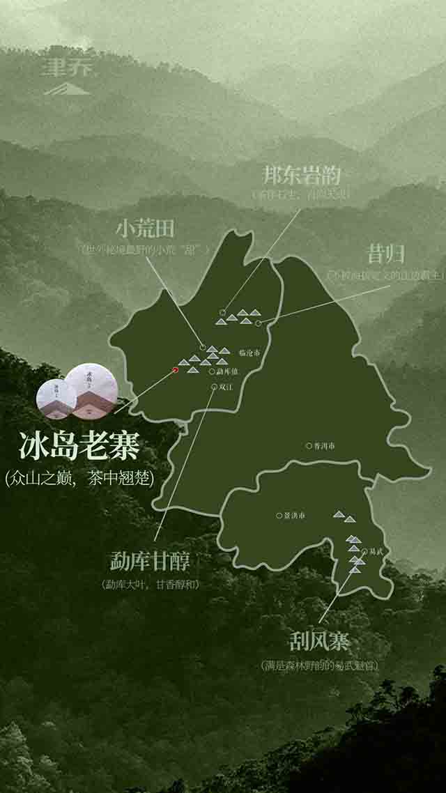 津乔普洱冰岛老寨茶