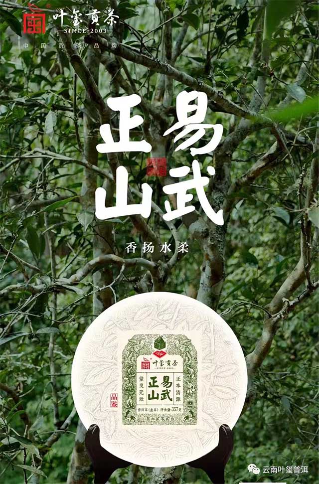 叶玺普洱易武正山普洱茶品质特点