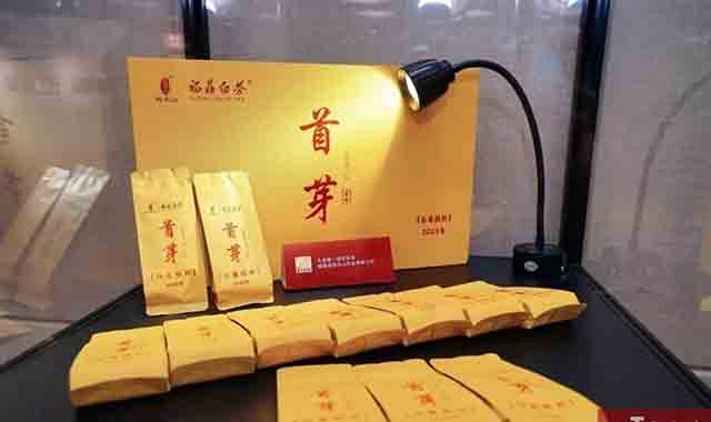 2023广州茶博会