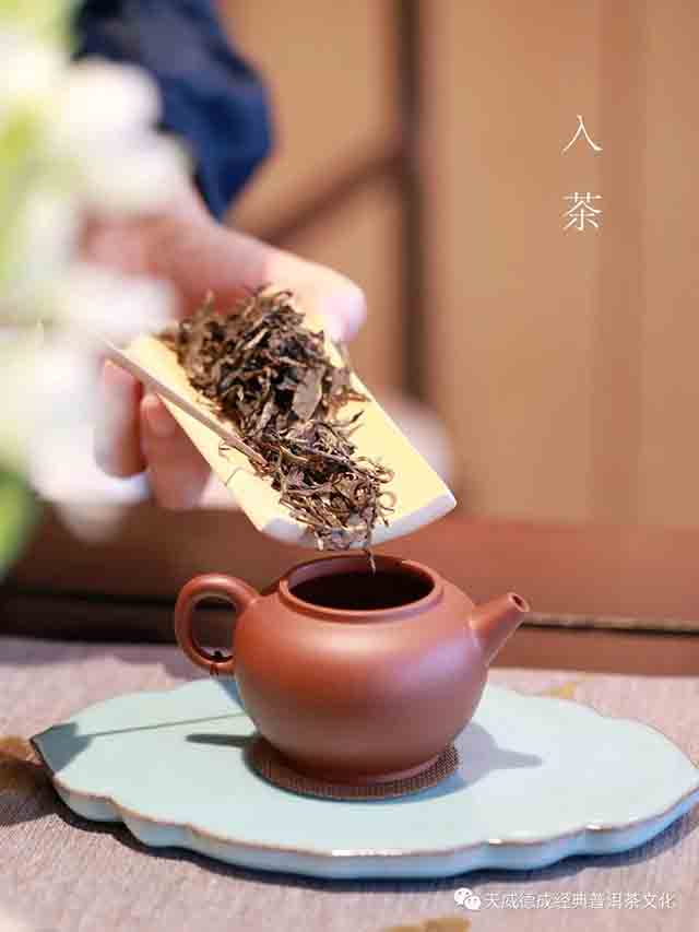 天威德成2023年天授普洱茶品质特点