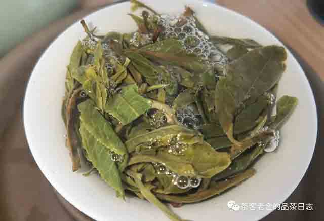 困鹿山制茶人2023年困鹿山木兰普洱茶
