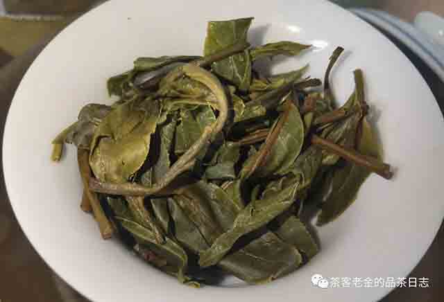困鹿山制茶人2023年困鹿山木兰普洱茶