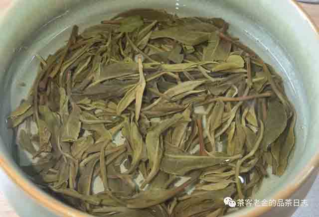 困鹿山制茶人2023年困鹿山木兰普洱茶