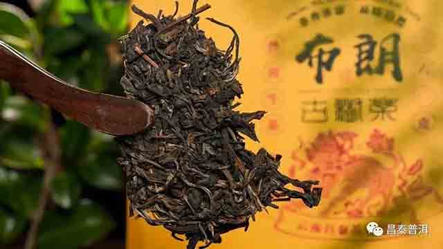 昌泰普洱昌泰号麒麟山头茶系列布朗普洱茶品质特点