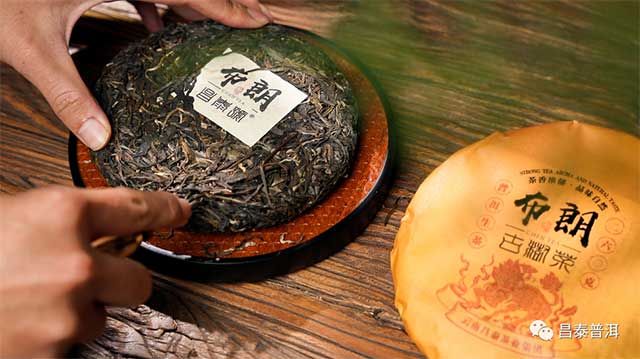 昌泰普洱昌泰号麒麟山头茶系列布朗普洱茶品质特点