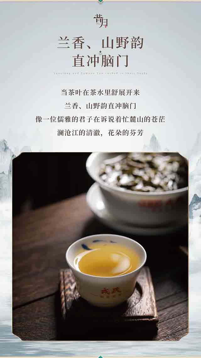 勐库戎氏2023戎氏昔归普洱茶品质特点