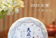 【品茶分享】宁静之心——2023年天授