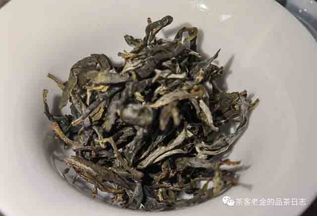 茶者无喧2023年倚邦大黑山普洱茶