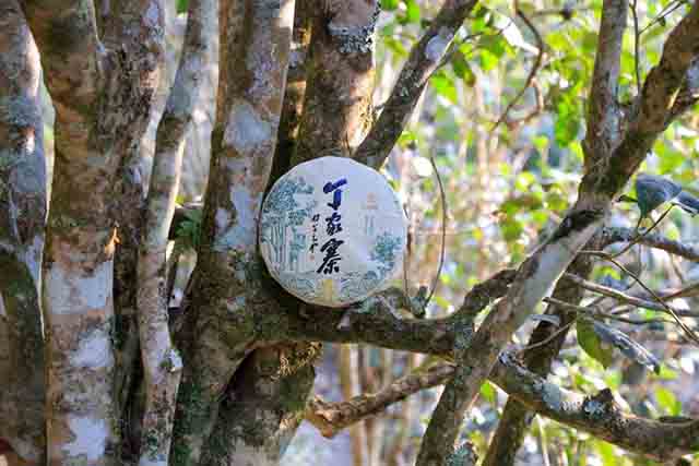 龙润茶饼茶棉纸包装