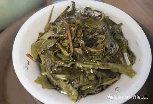 2023年大黑树林茶王树普洱茶