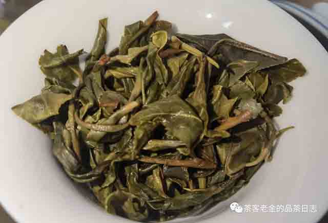 2023年大黑树林茶王树普洱茶