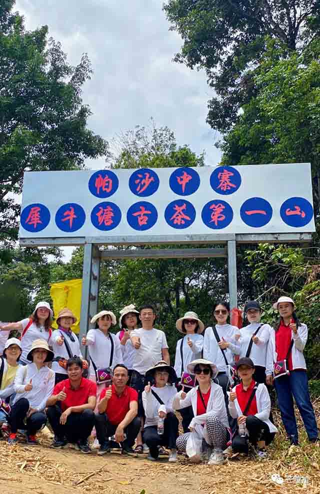 2023芒嘎拉春季茶山游学圆满收官