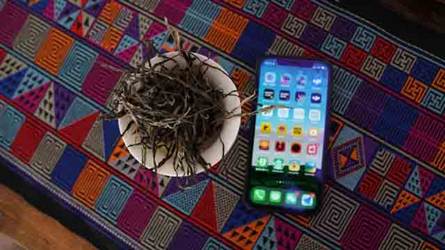 普洱杂志